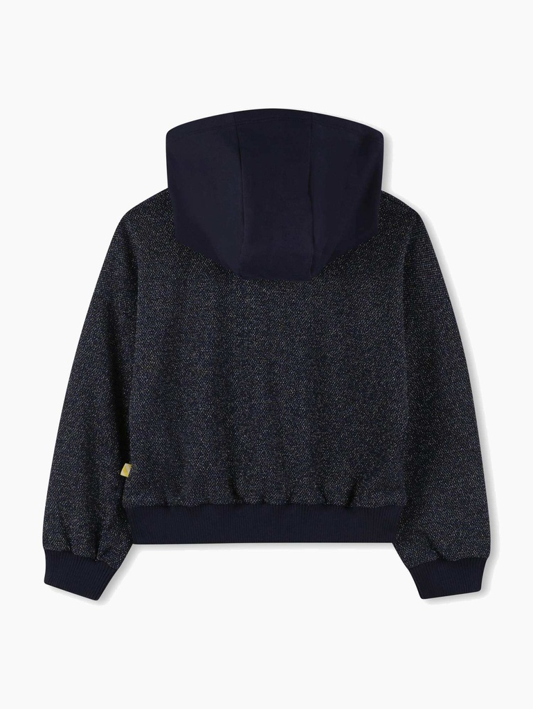 BILLIEBLUSH I Donkerblauwe Glittertrui