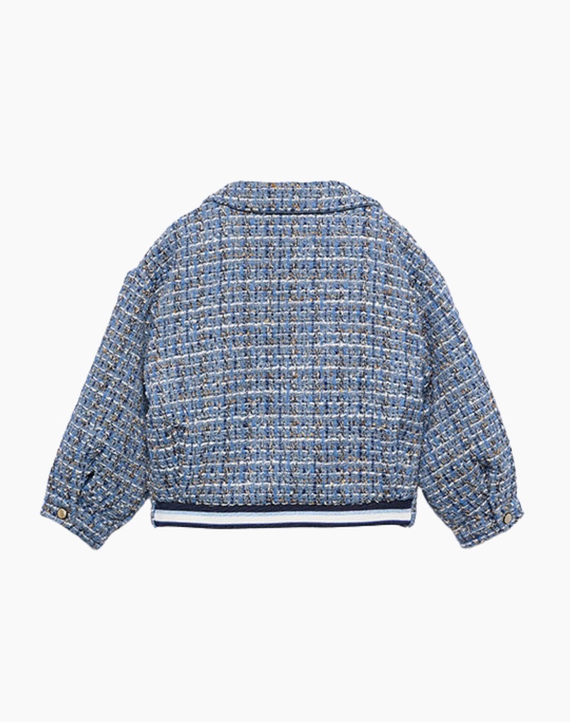 Blauw Tweed Vest Met Gouden Knopen