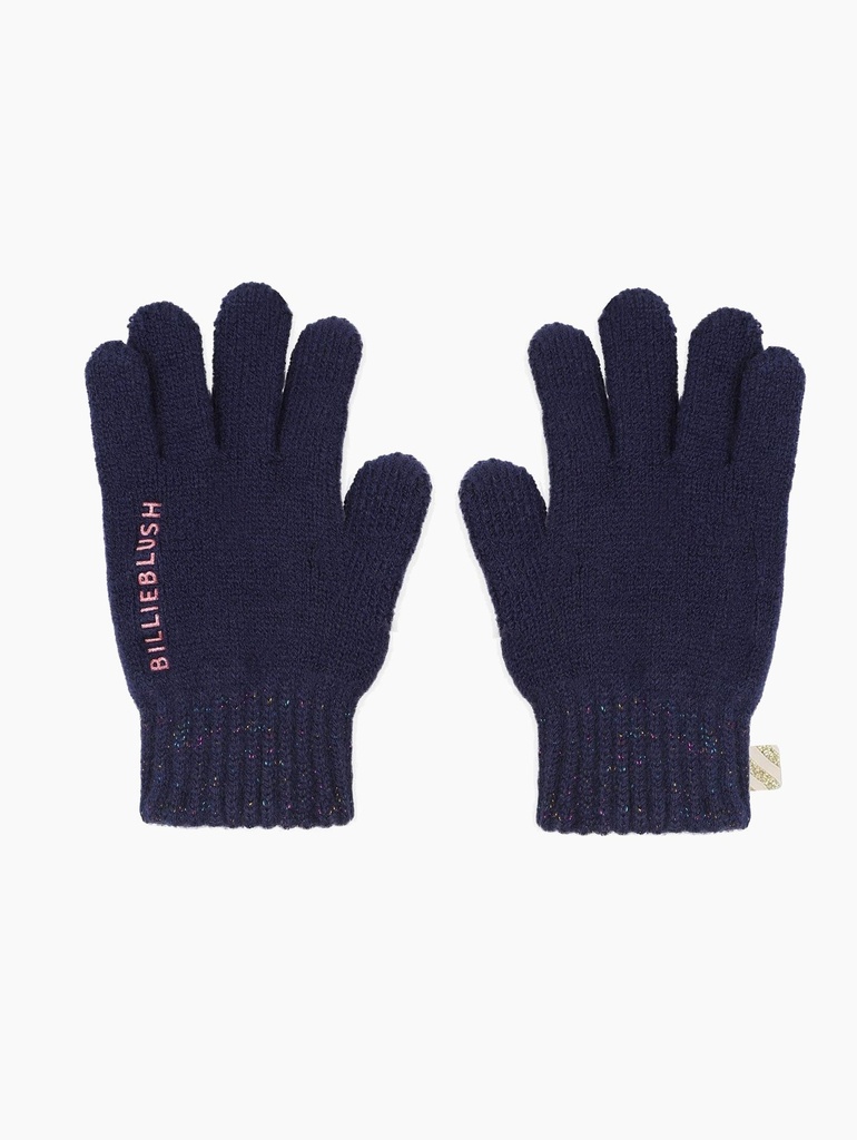 Handschoenen Blauw