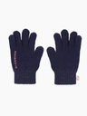 Handschoenen Blauw